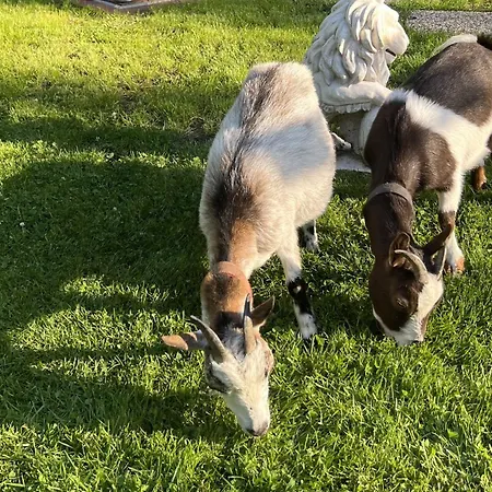 Farm stay Renate Sassen Werdum