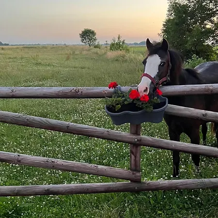Farm stay Renate Sassen Werdum