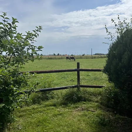 Renate Sassen Werdum