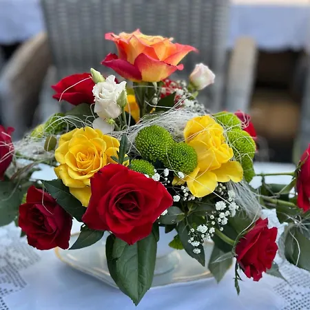 Κατάλυμα σε φάρμα Renate Sassen *