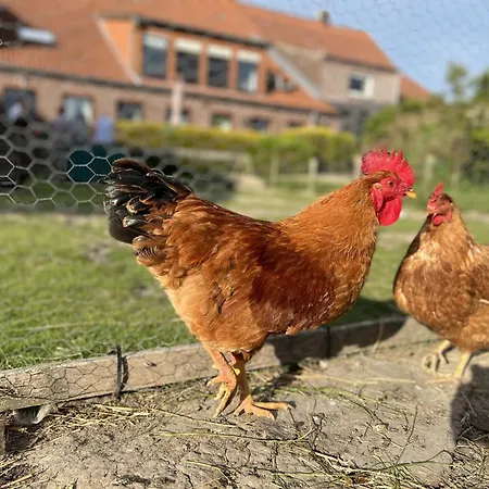 Farmház Renate Sassen *