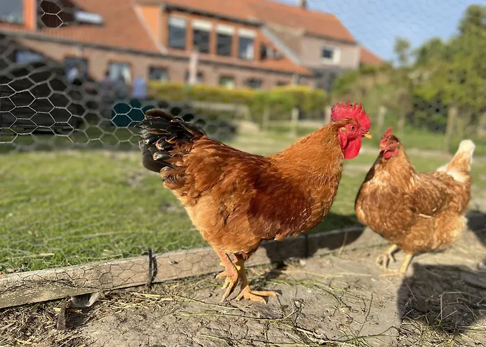 Renate Sassen Werdum