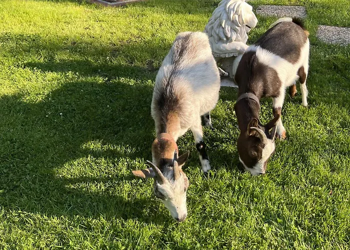 Κατάλυμα σε φάρμα Renate Sassen Werdum