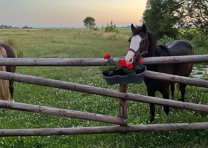 Κατάλυμα σε φάρμα Renate Sassen Werdum