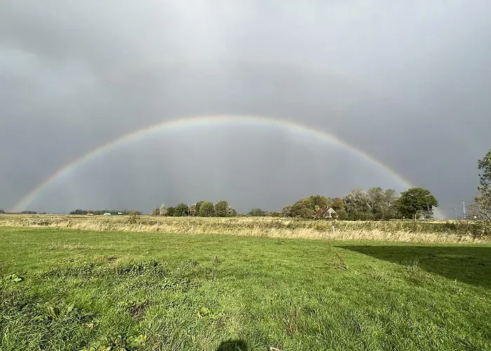Renate Sassen * Werdum