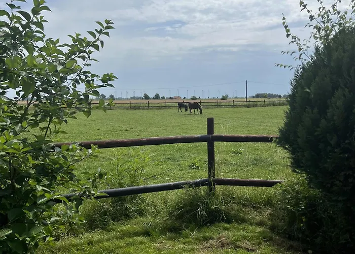 Renate Sassen Werdum