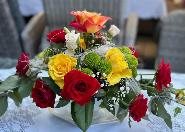 Κατάλυμα σε φάρμα Renate Sassen *